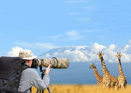 Foto-Wiki - Tierfotografie